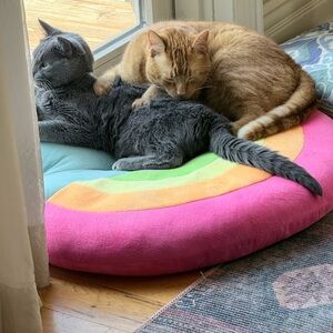 Posh Party 1/31/26 clothing items